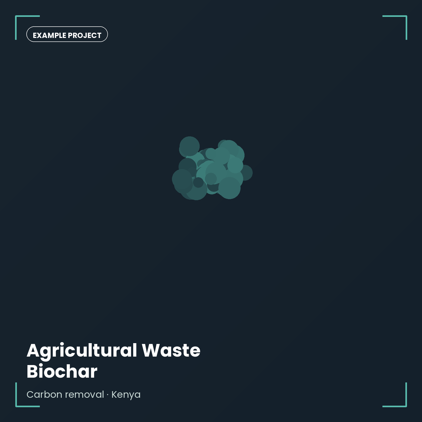 Agricultural Waste Biochar — Example Project