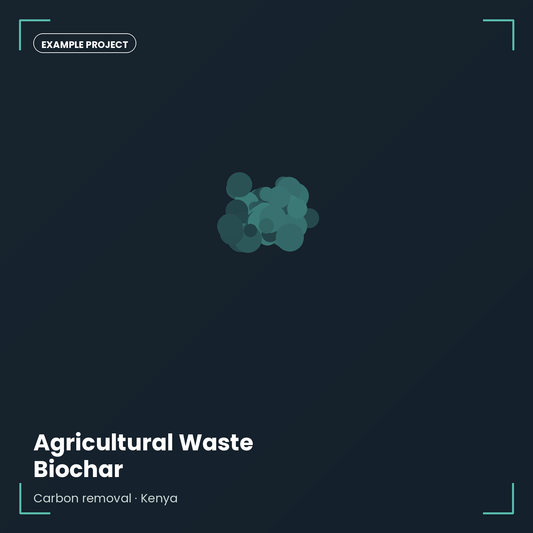 Agricultural Waste Biochar — Example Project