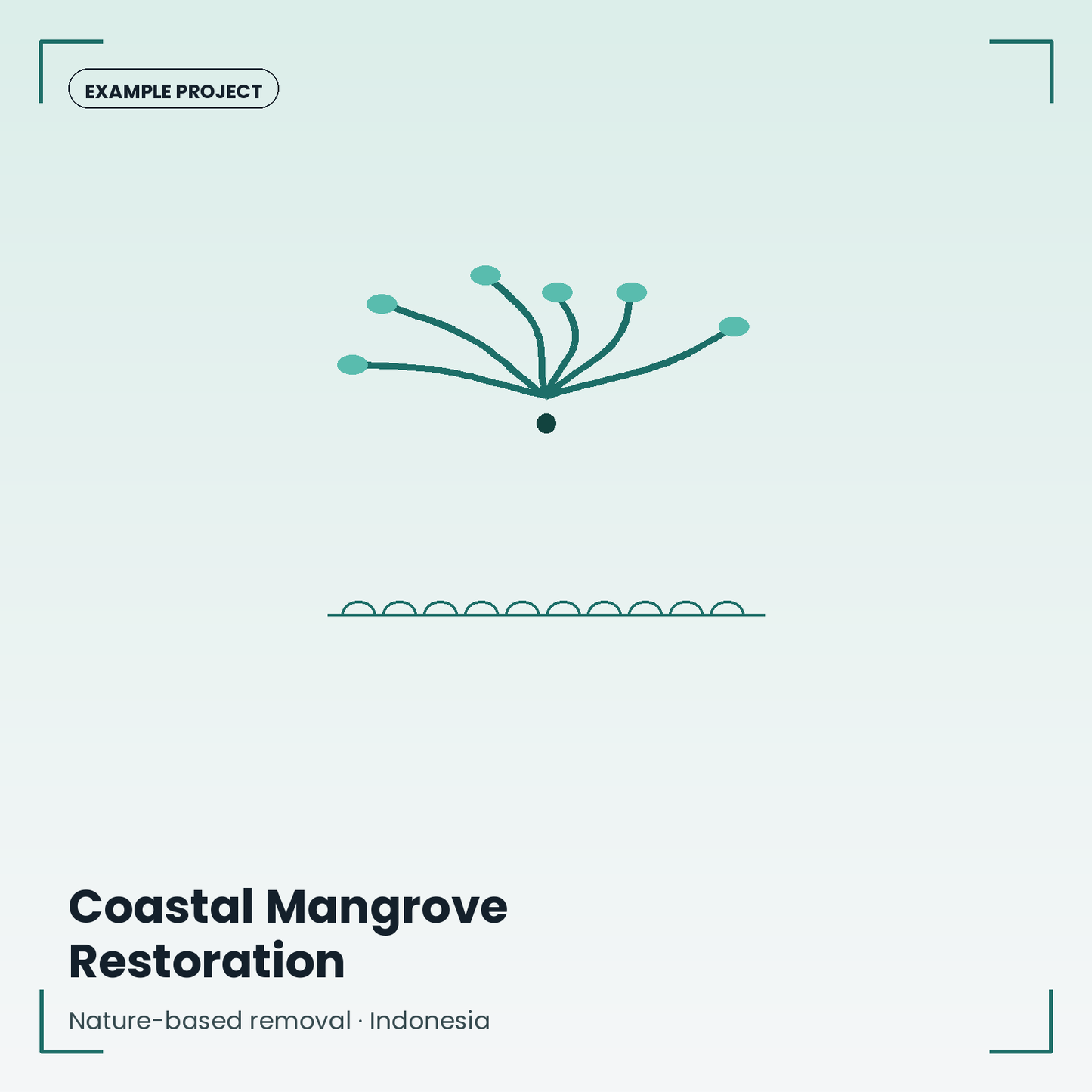 Coastal Mangrove Restoration — Example Project