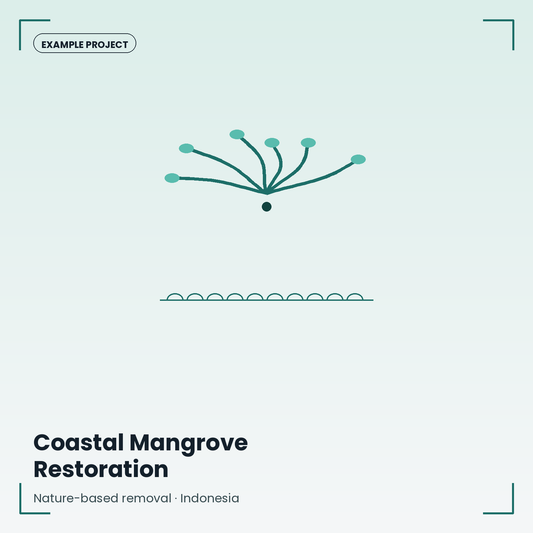 Coastal Mangrove Restoration — Example Project